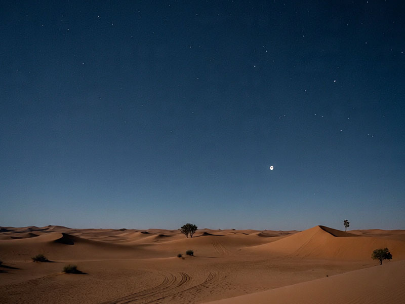 Misteri Skinwalker Bangkit Lagi